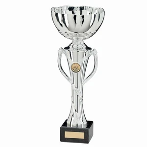Hawkeye Cup Silver Award 380mm FREE Trophy Engraving - Picture 1 of 1