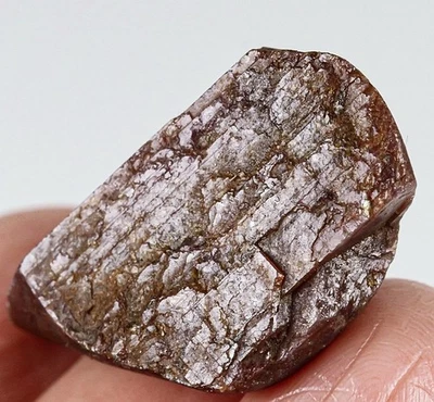 Espécimen de rubí estrella roja natural sin calefacción 55,3 quilates faceta áspera YRX2892 Foto 1 de 3