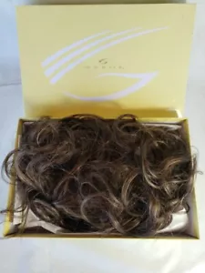 Eva Gabor Everyday Elegant Wig Sunlit Chestnut HAIRUWEAR 2013 EUC - Picture 1 of 5