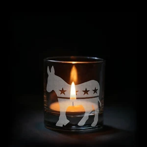 DNC EMBLEM Shot Glass - Picture 1 of 2