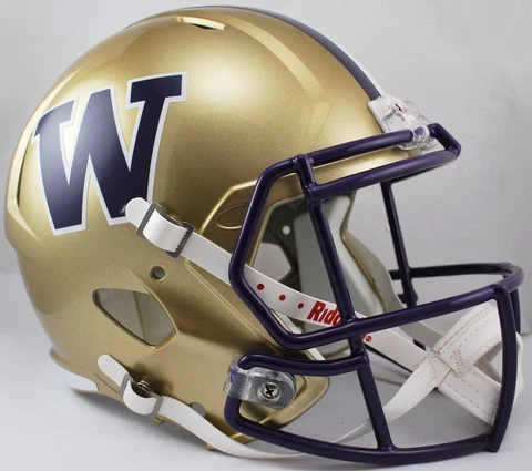 WASHINGTON HUSKIES NCAA Riddell SPEED Full Size Authentic Football Helmet Cover