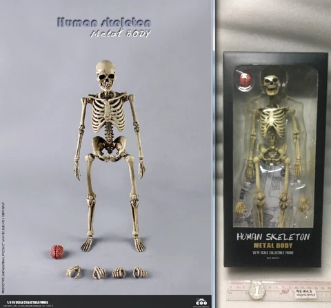 COOMODEL BS011 1/6 Human Skeleton Metal Body Skull Flexible Action Figure in box Cover
