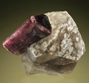Elbaite sobre cuarzo var. Pegmatita Malchan ahumada, Transbaikalia, Rusia 1121-0015 - Imagen 1 de 6