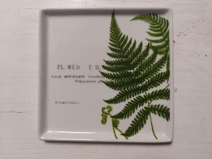 Rosanna L'Orangerie Antique Botanical Fern Pale Mountain Polypod Square Dish - Picture 1 of 2