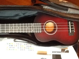 WINZZ UKULELE MAHOGANY COLOR W/ACCESSORIES RARELY USED 122823C - Picture 1 of 11
