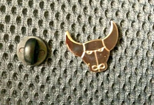Oxford United - Gold Ox Head - Small Badge Pin - Brand New - For Charity - Picture 1 of 1