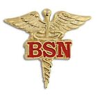 BSN BACHELOR OF SCIENCE NURSING NURSE GOLD CADUCEUS RED MEDICAL BADGE PIN