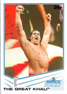 2013 Topps WWE Wrestling Card #56 The Great Khali - Bild 1 von 2