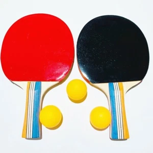 2 pcs Pack Professional Ping Pong Paddle Advanced Training Table Tennis Racket - Picture 1 of 9