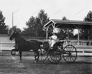 Lady Harness Racing 1912 Classic 8x10 Reprint Photograph - Imagen 1 de 1