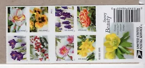 2022 Forever Snowy Beauty Complete Booklet, Scott #5736b, Mint NH, PO Package - Picture 1 of 1