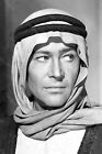 Peter O' Toole (24)  Attore Actor Foto Photo 10 x 15 cm