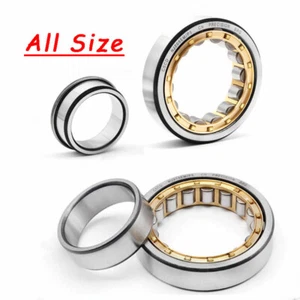Cylindrical Roller Bearing Mechanical Power Transmission Bearings All Sizes - Picture 1 of 11