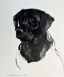 Thomas Quinn - Portrait of a Field Champion - Black Lab S/N Litho Signed MINT - Picture 1 of 1