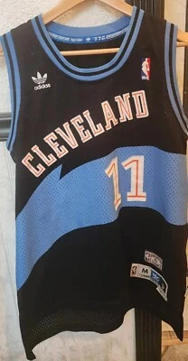 NBA Adidas HWC Cleveland Cavaliers Zydrunas Ilgauskas 11 Jersey Mens Medium SEWN - Image 1 of 4