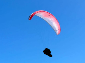 Paraglider wing Ozone Delta L 95-115kg EN-C check untill 2024/Free Shipping