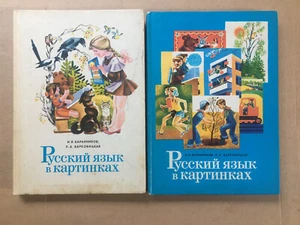 Русский язык в картинках Две части Russian Language in Pictures Russkiy yazyk HC - Picture 1 of 10