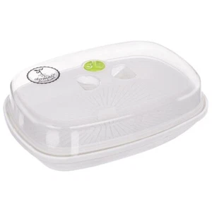 Keimschalen Indoor  Keimsprossenbox Keimschale Sprossenbox mit Deckel 29 x 21cm - Bild 1 von 7