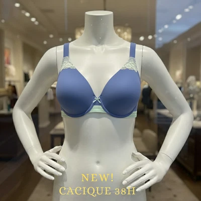 NUEVO SIN ETIQUETAS CACIQUE Cobertura Completa Ligeramente Forrado Sujetador Pizarra Azul Encaje 38H Camiseta NUEVO Foto 1 de 4