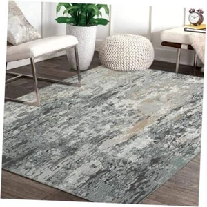 Washable Rug 5x7 Living Room Area Rug Modern Abstract Area Rug 5' x 7' Grey - Picture 1 of 8