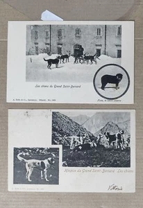 VALLE D'AOSTA-GRAN SAN BERNARDO-CANI-LOTTO 2 CARTOLINE-C75-159 - Imagen 1 de 1