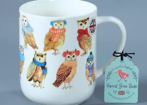 HARVEST GREEN STUDIO WINTER GEAR OWLS Bone China X LARGE DEVON Mug - Picture 1 of 3