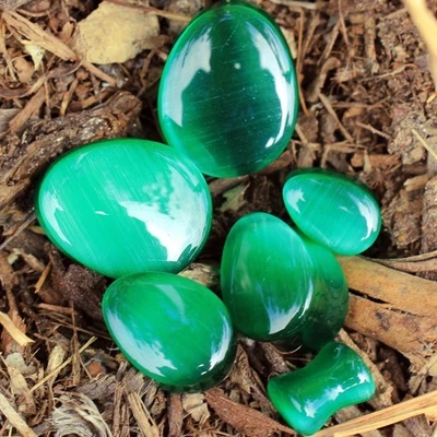 PAIR of Natural Green Cat's Eye Double Flare Teardrop Plug - Image 1 of 4
