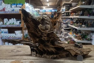 Derwen Oak Bogwood 19-53cm Dense Driftwood ideal for aquariums & vivariums - Picture 1 of 32