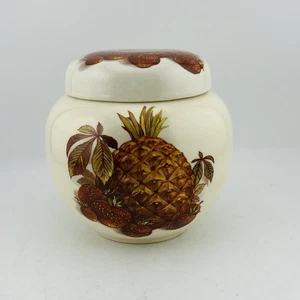 Sadler Ginger Jar with Lid Fruits Pattern Vintage Staffordshire Pottery - Picture 1 of 10