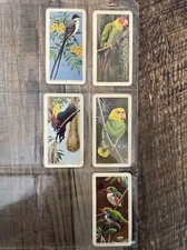 1964 Brooke Bond (Red Rose Tea) Tropical Birds Lot Of 5 Vintage Trading Cards