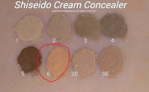 Shiseido Natural Finish Cream CONCEALER Long Lasting 0.44 oz HONEY Miel # 6 - Picture 1 of 5