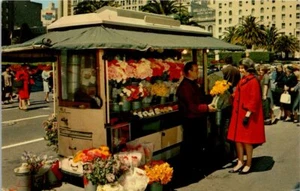 VTG Street Flower Vendors San Francisco California CA Postcard - Picture 1 of 2