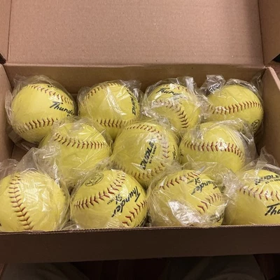 NUEVO Lote de 11 pelotas de softbol lanzamiento lento Dudley SY-11 GWSP ASA certificadas Foto 1 de 4