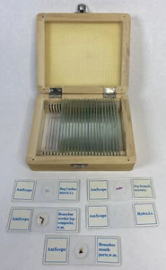 Amscope Microscope 25 Slides Animal & Plants w/Wooden Box Biology Slide Science - Picture 1 of 5