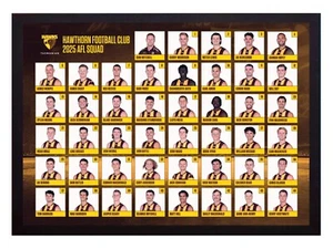 Framed 2025 Hawthorn Hawks AFL Football Poster - 62cm x 44.5cm x 3.5cm - Picture 1 of 4