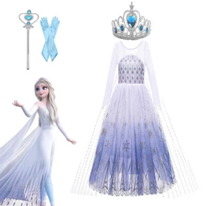 Frozen 2 inspired Snow Toddler Princess Costume Trailing Elsa Dress for Girls - Picture 1 of 9