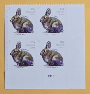 U.S.A. Brush Rabbit. Plate Block of 4v, Additional ounce stamps 2021 - Picture 1 of 1