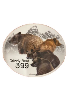 Grizzly Bear 399 with 4 Cubs in Grand Teton National Park Magnet - Picture 1 of 5