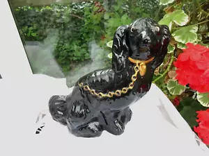 Antiker Black Jackfield King Charles Fireside Spaniel gelockter Schwanz besorgtes Gesicht - Bild 1 von 4
