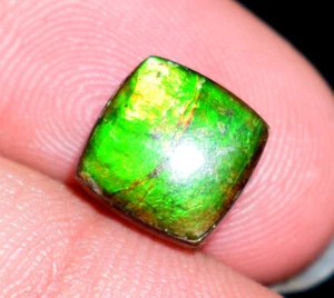 Natural Rare Ammolite Gemstone Cabochon 1.70 Ct Loose Ammolite Gemstone  - Picture 1 of 5