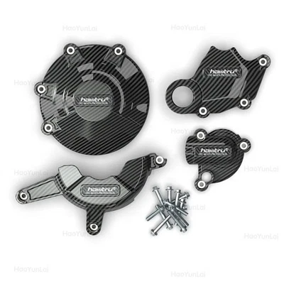 Cubierta de protección de motor de fibra de carbono para Ducati 848 EVO 2008-2013 Foto 1 de 4