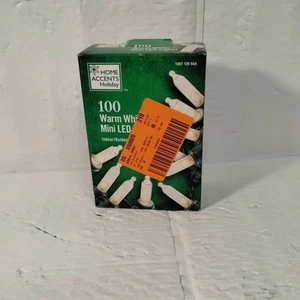 Home Accents Holiday 100 Warm White Mini LED String Lights Indoor/Outdoor (X) - Picture 1 of 12