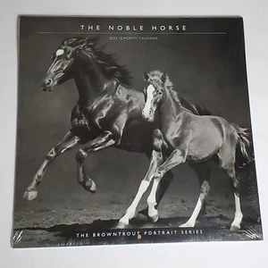 Horse, the Noble, the Browntrout Portrait Series 2023 Square (Calendar) 12"x12" - Picture 1 of 8