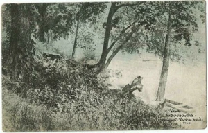 Postal Perú, EN Indiana 1916, río Wabash por C.U. Williams - Imagen 1 de 2