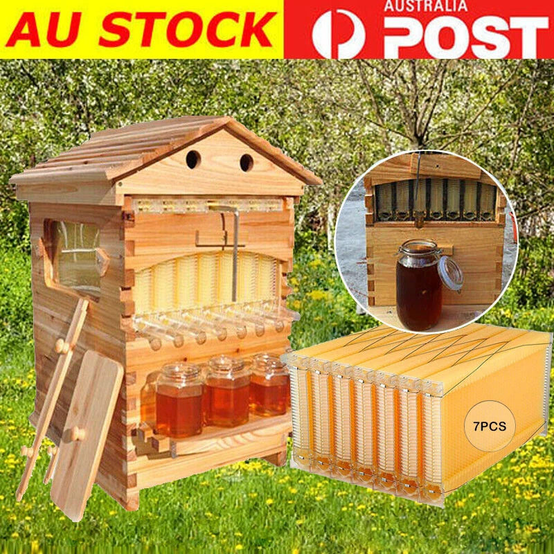 7 Upgraded Auto Seeping Honey Frame +Wooden Bee Hive House Comb Beehive Box Kit - image 1 of 4