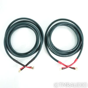 DH Labs Silver Sonic Q-10 Speaker Cables; 3m Pair - Picture 1 of 9