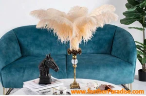 Plumas de avestruz beige 22-24 pulgadas 5 piezas (GA, EE. UU.) - Imagen 1 de 3