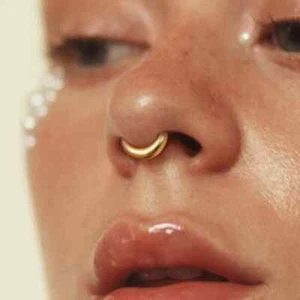 Daith Septum Piercing Nose Ear Ring Hoop Surgical Steel Silver Crystal Jewelry - Picture 1 of 8