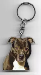 STAFFIE CHIEN PORTE CLES / DOGS K.FOB - Picture 1 of 2