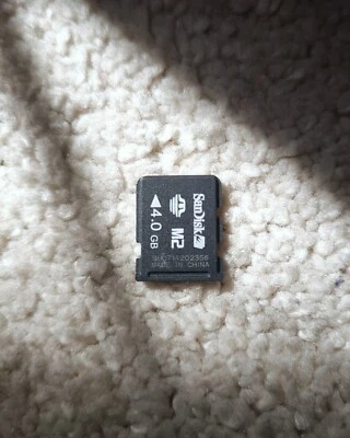 Vintage Sandisk 4GB Memory Stick Micro M2 Card Tested Working PSP GO - Image 1 of 2
